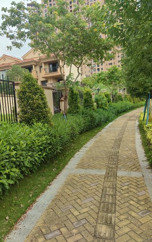 东江新城小区环境优美绿化率高欢迎来品鉴