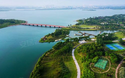 盛泽湖国家二类级水质自然生态居住环境,家门口的1000亩月季公园 仅在