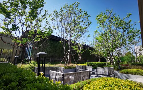 小区绿化还有营销中心大门来看看吧