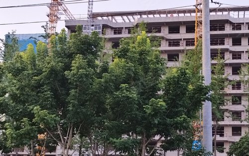 华润置地·润玺臺动态:华润润玺臺项目施工进度-西安安居客