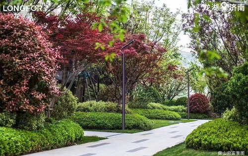 龙湖各小区交付实景拍业主满意度指数up