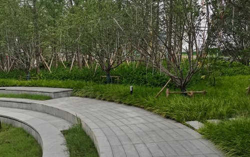 江阴敔山玉兰花园图片