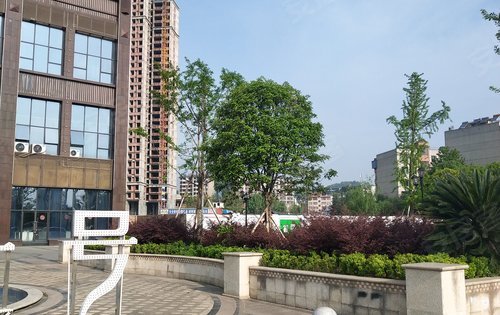 滨江一号动态:阳光明媚,等您来访-广元安居客