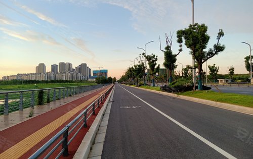 黄家湖湿地公园 环湖绿道 夕阳也别样迷人 还有百亩荷田 美不胜收