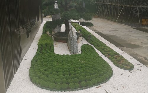 城投丰山府项目营销中心,园林绿化