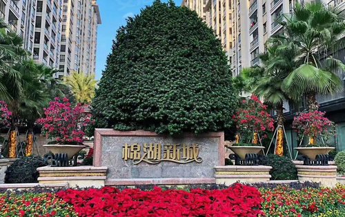 棉湖新城花园现房即买即入住欢迎咨询