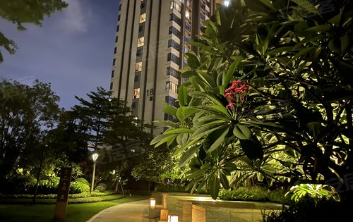 小区夜晚实景图!美!