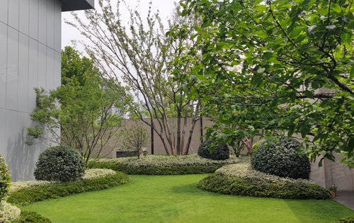 小区绿化景观一览新楼栋加推中参观看房请提前与我预约