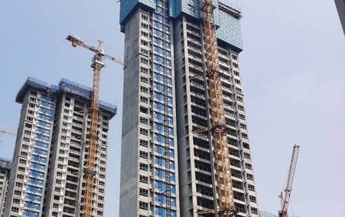 金科郡动态:金科郡工程进度-郴州安居客