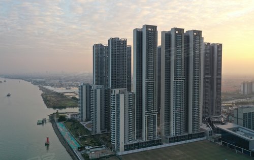 飞鸟白鸽清风繁茂的绿植亚运城天珑one实拍宜居生活尽在亚运城