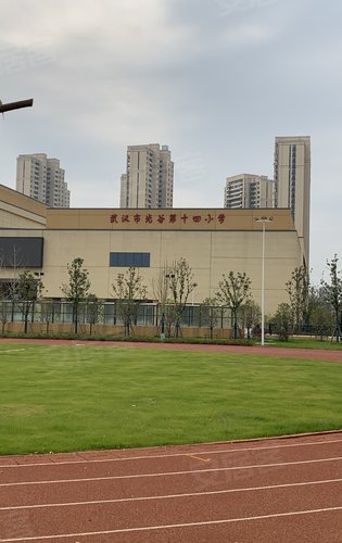 武汉市光谷十四小实拍