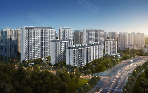 厦门楼盘 翔安楼盘 翔安南部新城楼盘 金地峯上 楼盘动态