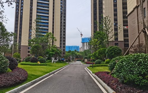 光明碧桂园培文府动态:小区园林绿化实拍,欢迎点我头像了解详情哦!