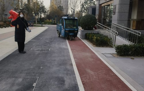 阳光东尚四期东尚名邸,高品质住宅小区,全国范围内遴选布迪椰子,香樟