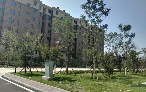 翡翠半岛皓园的整体环境