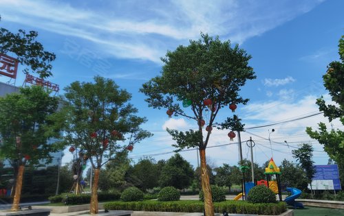 马上交房了夏邑赛琪体育公园