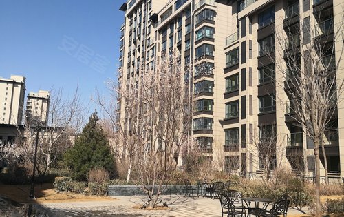 凤凰华府动态:凤凰华府ac区已交房园林水系-银川安居客