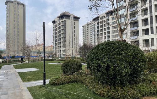 凤集金茂悦动态:小区配套完善,绿化面积50%以上,楼间距合适,不影响