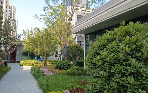 紫薇华发云峰里