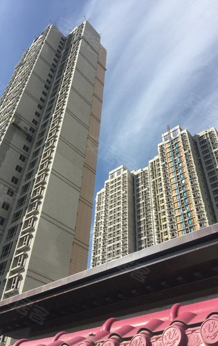 兰高金都城动态:兰高施工现场-兰州安居客