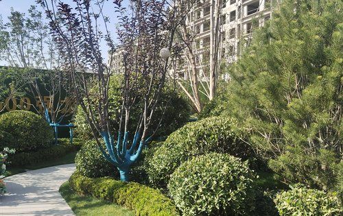 龙湖揽镜小区园林绿化景观