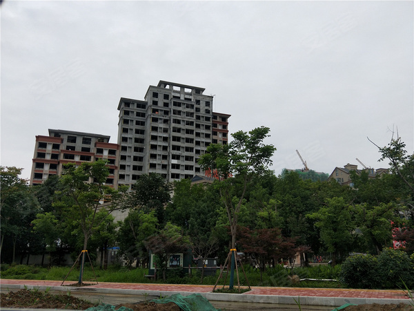 顺达· 玫瑰园,池州顺达 · 玫瑰园房价,楼盘户型,周边配套,交通地图