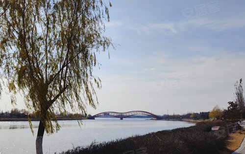 花样年碧云湾动态:如意湖公园已在使用中-青岛安居客
