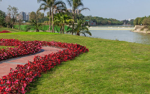 潤揚觀瀾鷺島動態:觀瀾鷺島毗鄰3000多畝森林公園,實景-成都安居客