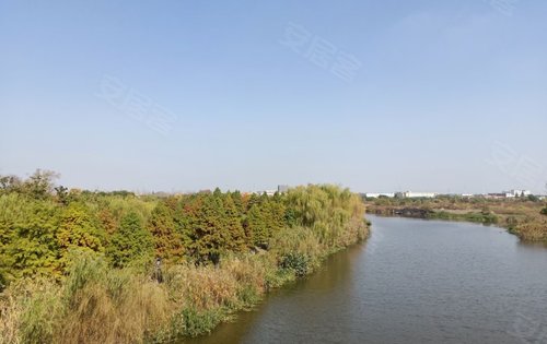 家門口的公園-東洲公園,閒暇散步好去處