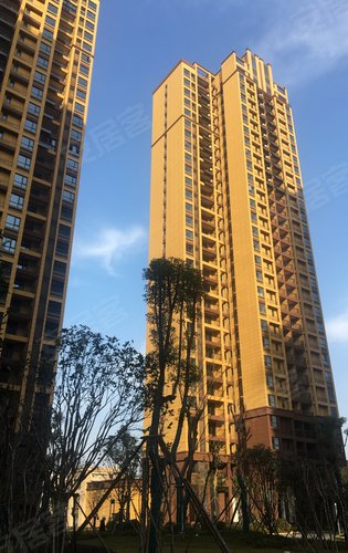 星悦湾动态:2020年的星悦湾,加油.-武汉安居客