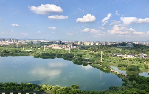 南驰都湖国际动态:这是花都湖,欢迎来撩-广州安居客