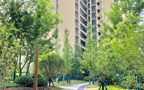 印江州一期已接房实拍图