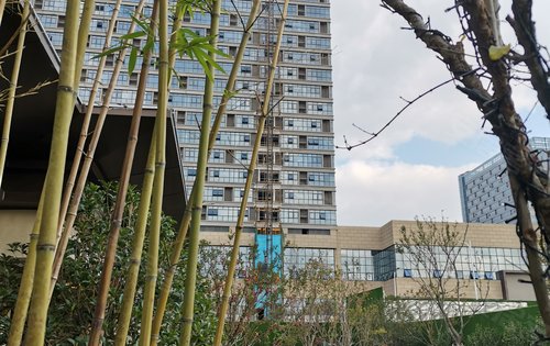 美的金科61公园天下渝派园林景观让你出则繁华入则宁静安享生活之旅