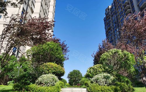 益阳碧桂园·华府