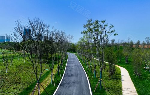 大泽湖近自然湿地公园初现雏形一大波美图先带你逛一圈