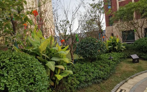 褐石公馆小区入户照壁