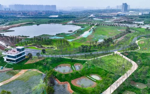 大泽湖近自然湿地公园初现雏形一大波美图先带你逛一圈