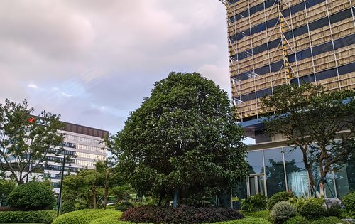 滨江大家招商锦翠金宸府动态:锦翠金宸府欢迎预约参观！-杭州安居客