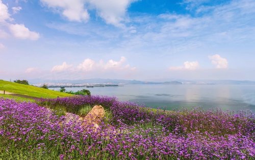 環球融創滇池南灣未來城動態:五漁邨小鎮湖濱景觀帶,歡迎來拍照打卡.