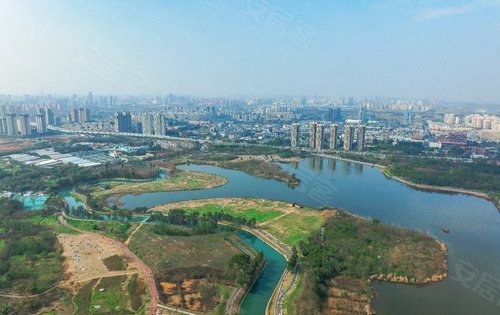 成都最大的湿地公园 青龙湖湿地公园.