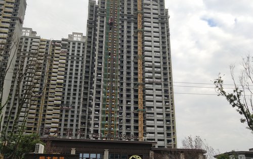 今天看房有活动15029233275