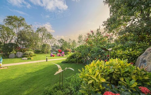 手机实拍公园景观房