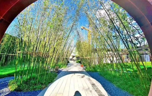 孔雀城柏悦府动态:固安柏村柏悦府江南园林景观一步下江南奢美户型