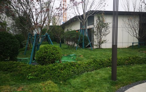 雪山万科城营销中心绿化,请大家欣赏