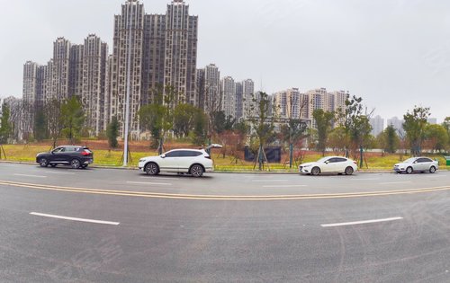 招商华发依云曦城动态:霸气的雪松路.-长沙安居客