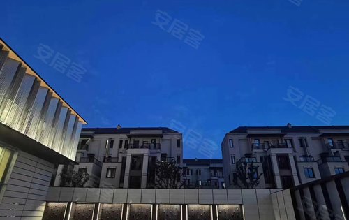 离离暑云散 袅袅凉风起 公元2040二期叠墅金地,融创,招商三大开发商