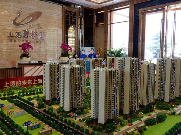 上思碧桂园规划沙盘