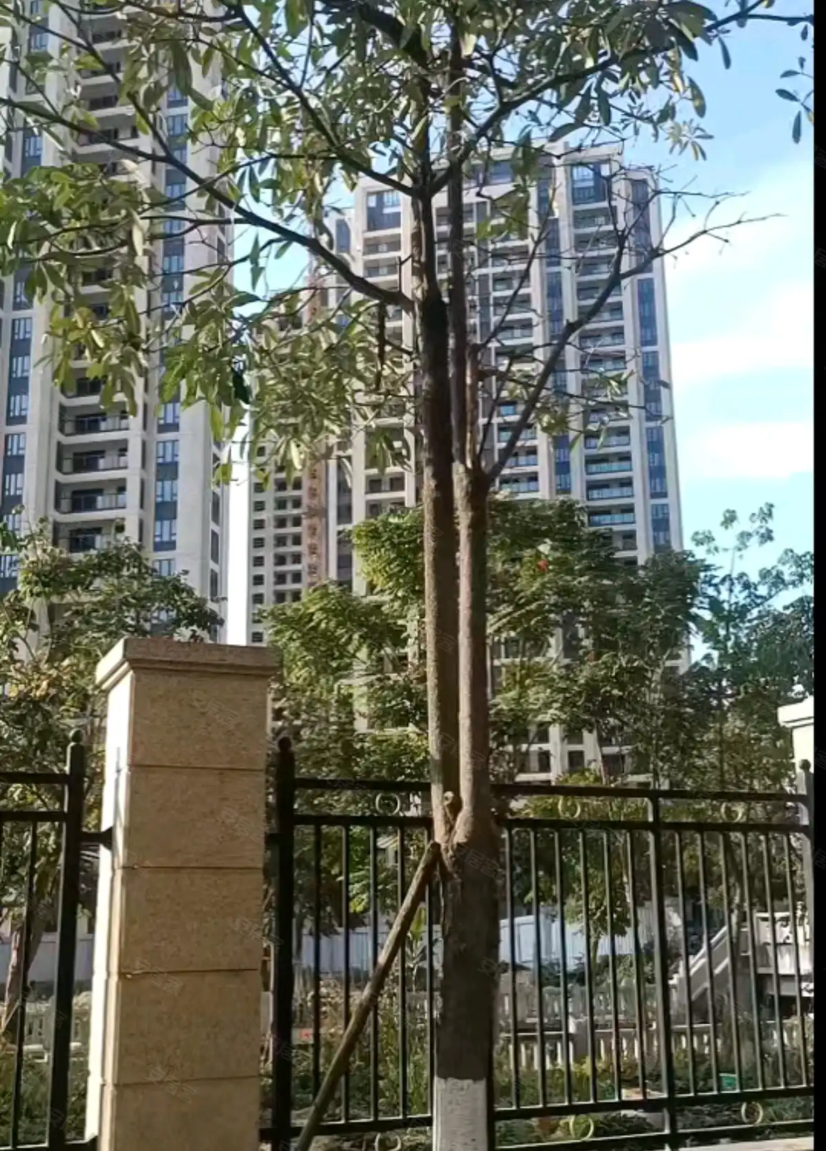 明发金域蓝湾