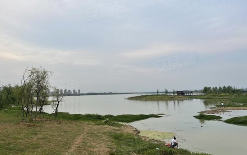 碧桂园十里春风动态:皇庆湖湿地公园-滁州安居客