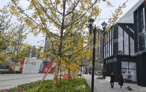 绿地·遂宁1958文创产业项目